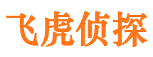 峨眉山商务调查